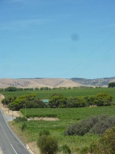Amande Bed And Breakfast Mclaren Vale Exterior foto